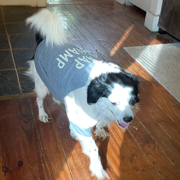 Meet your Posher, Sarah - Picture 2 of 5